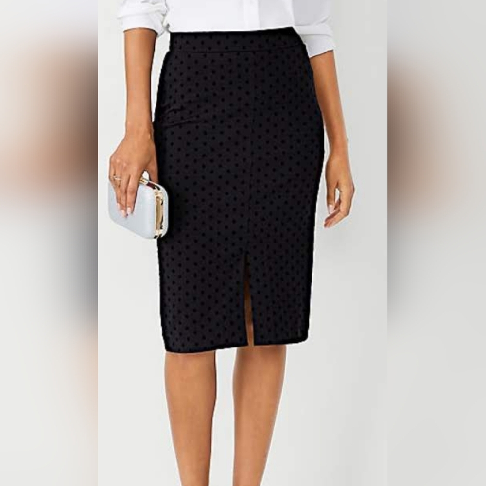 Ann Taylor Pencil Skirt